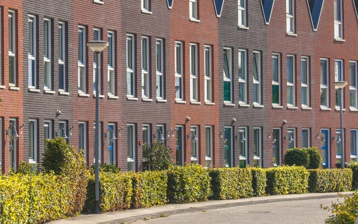houses in a street with hedgerows in groningen 1 1